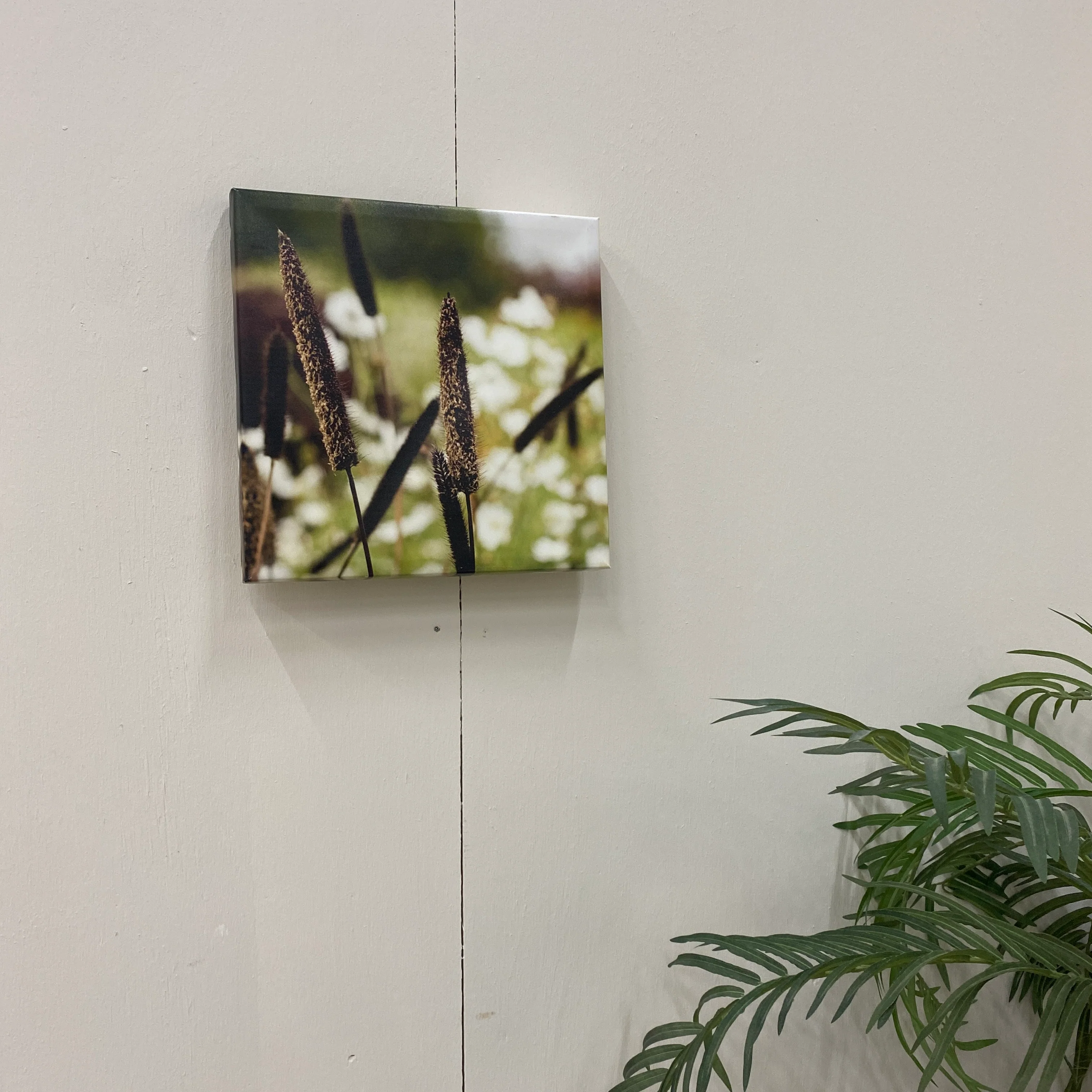 Vorschaubild 2