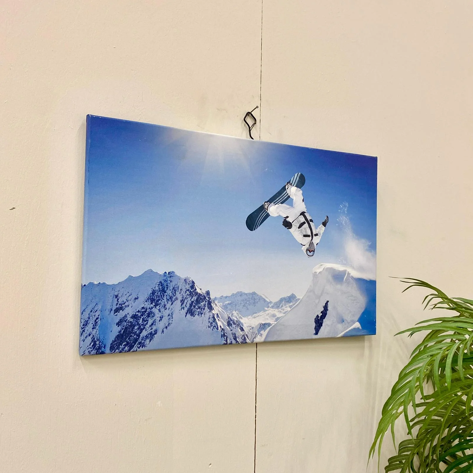 Vorschaubild 1